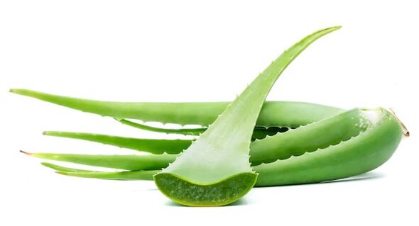 Intenskin Contains Aloe Vera